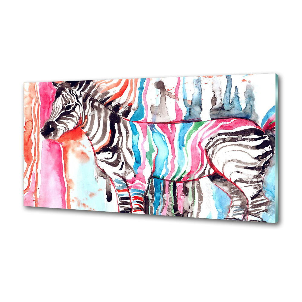 Cooker splashback Colorful zebra