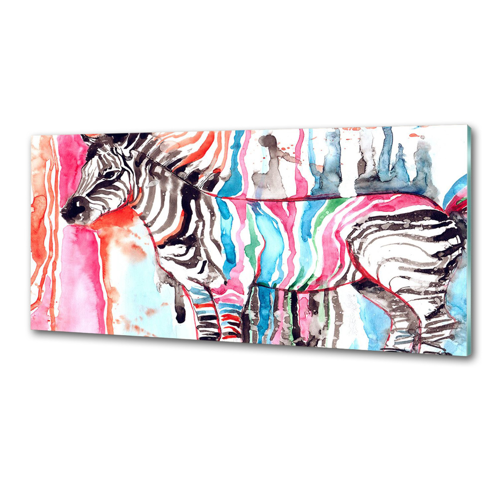 Cooker splashback Colorful zebra