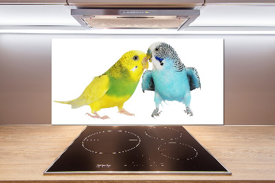 Glass splashback Faded parakeets