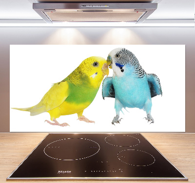 Glass splashback Faded parakeets