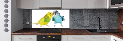 Glass splashback Faded parakeets