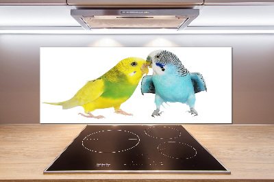 Glass splashback Faded parakeets