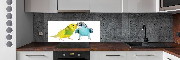 Glass splashback Faded parakeets