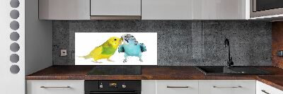 Glass splashback Faded parakeets