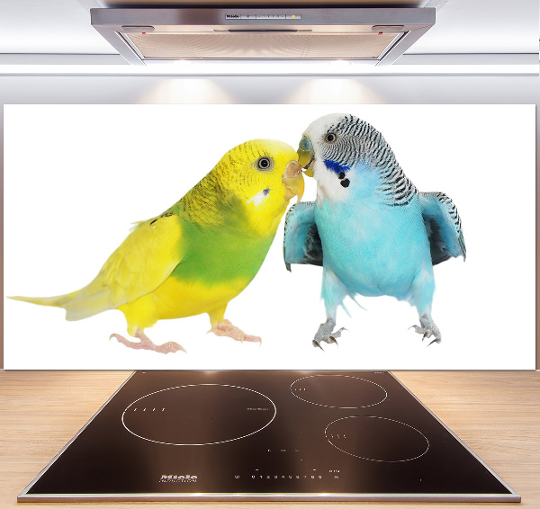 Glass splashback Faded parakeets