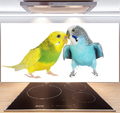 Glass splashback Faded parakeets