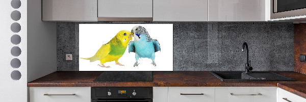 Glass splashback Faded parakeets