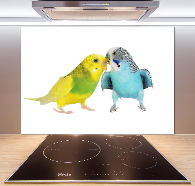 Glass splashback Faded parakeets