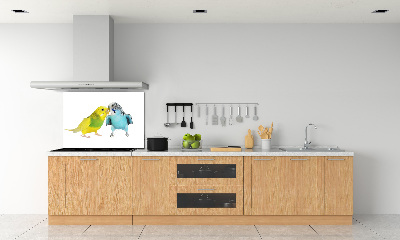 Glass splashback Faded parakeets