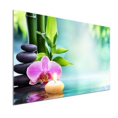 Cooker splashback Orchid bamboo