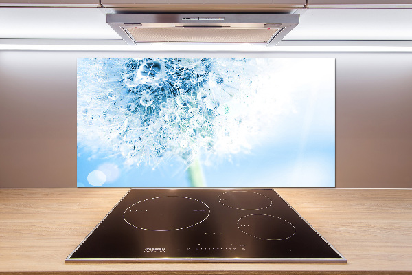 Cooker splashback Dandelion