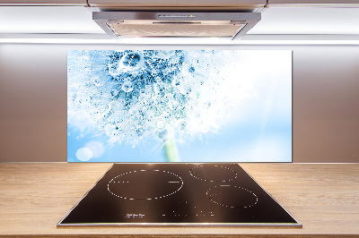 Cooker splashback Dandelion