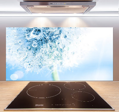 Cooker splashback Dandelion