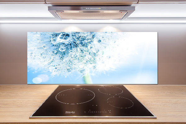 Cooker splashback Dandelion