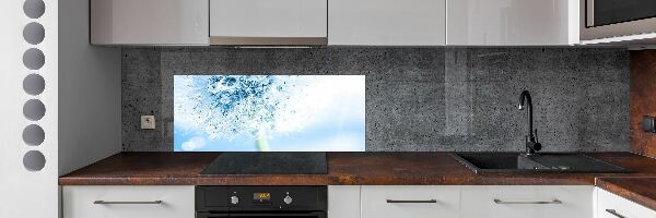 Cooker splashback Dandelion