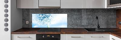 Cooker splashback Dandelion