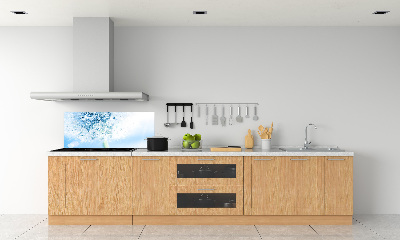 Cooker splashback Dandelion