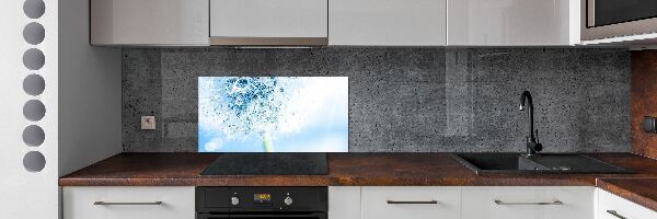 Cooker splashback Dandelion