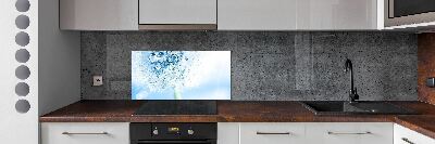 Cooker splashback Dandelion