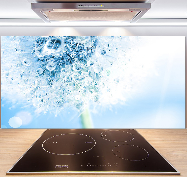 Cooker splashback Dandelion