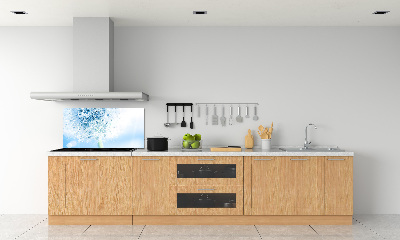 Cooker splashback Dandelion