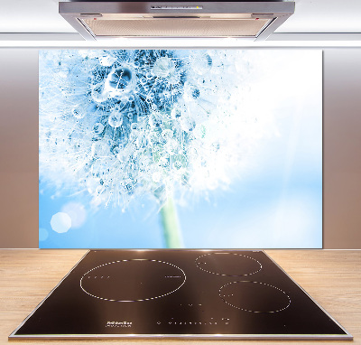 Cooker splashback Dandelion