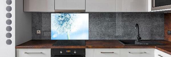 Cooker splashback Dandelion