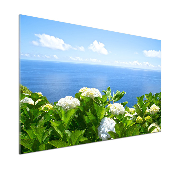 Cooker splashback Flowers by the sea