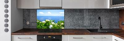 Cooker splashback Flowers by the sea