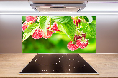 Cooker splashback Raspberries in the garden