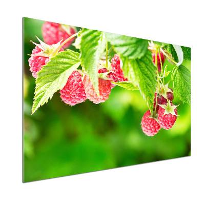 Cooker splashback Raspberries in the garden