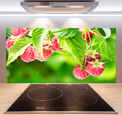 Cooker splashback Raspberries in the garden