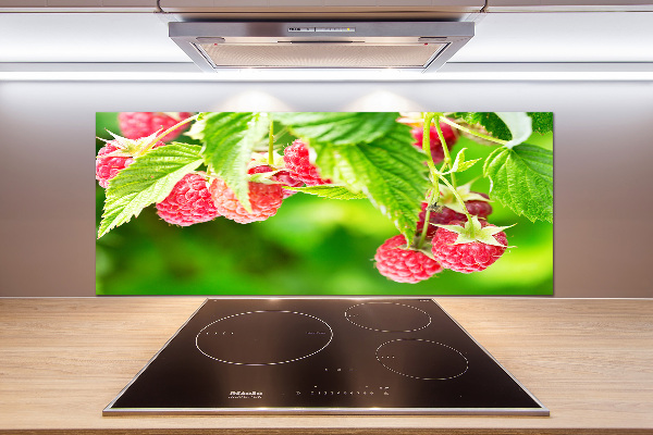 Cooker splashback Raspberries in the garden