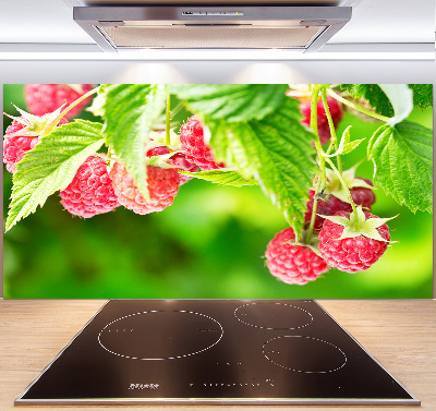 Cooker splashback Raspberries in the garden