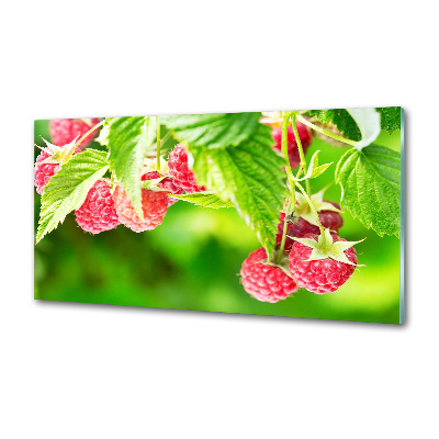 Cooker splashback Raspberries in the garden