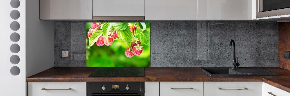 Cooker splashback Raspberries in the garden