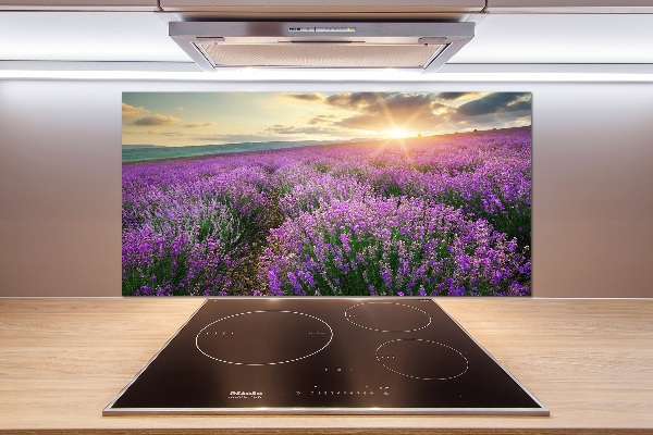 Cooker splashback Lavender field