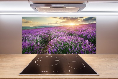 Cooker splashback Lavender field