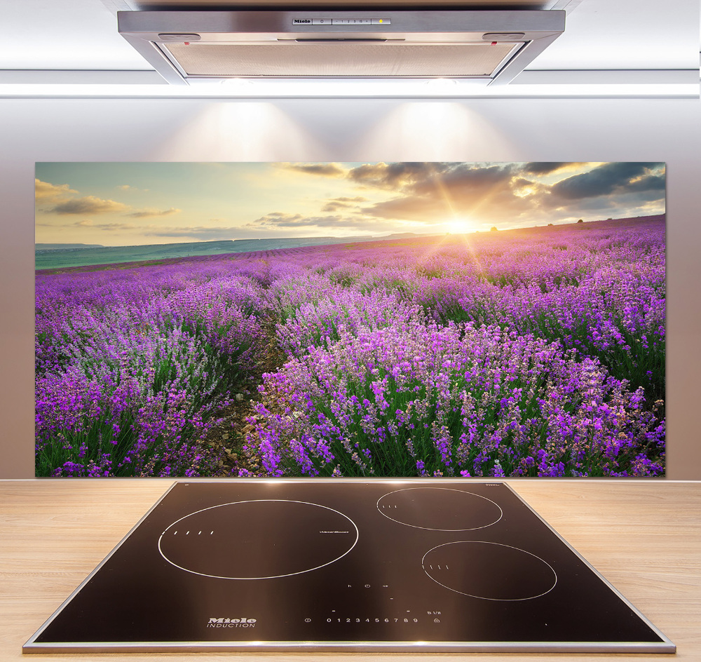 Cooker splashback Lavender field