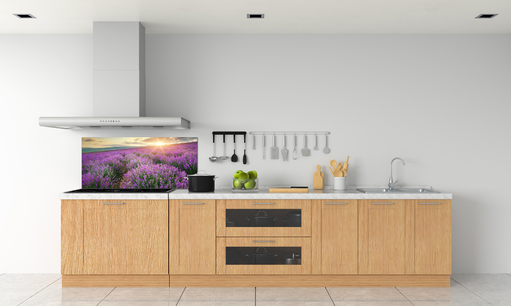 Cooker splashback Lavender field