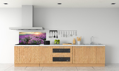 Cooker splashback Lavender field