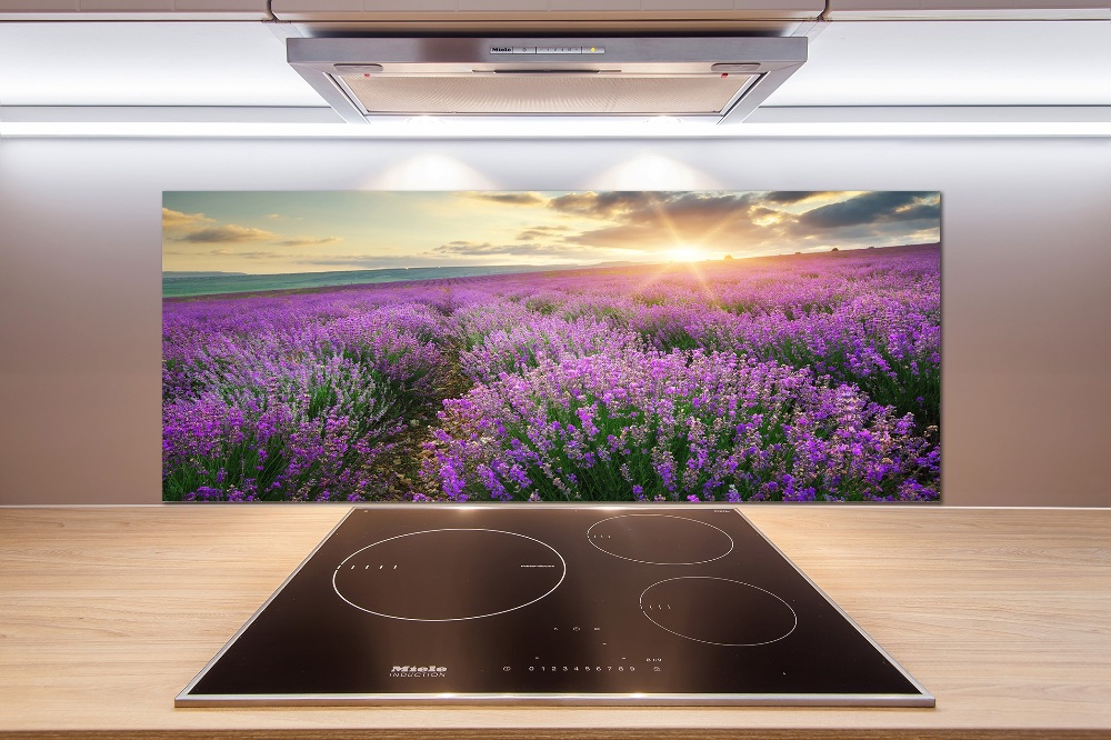 Cooker splashback Lavender field