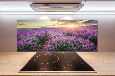 Cooker splashback Lavender field