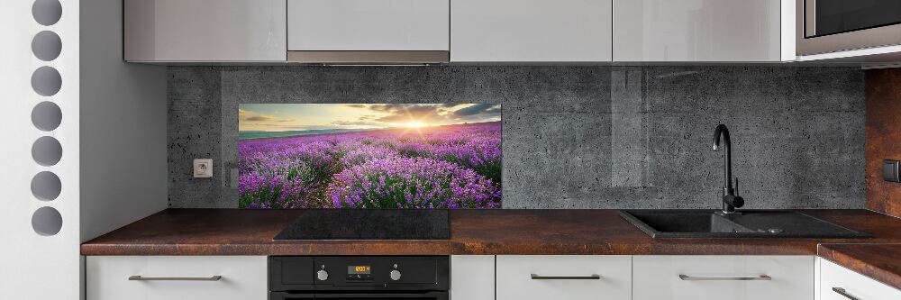 Cooker splashback Lavender field