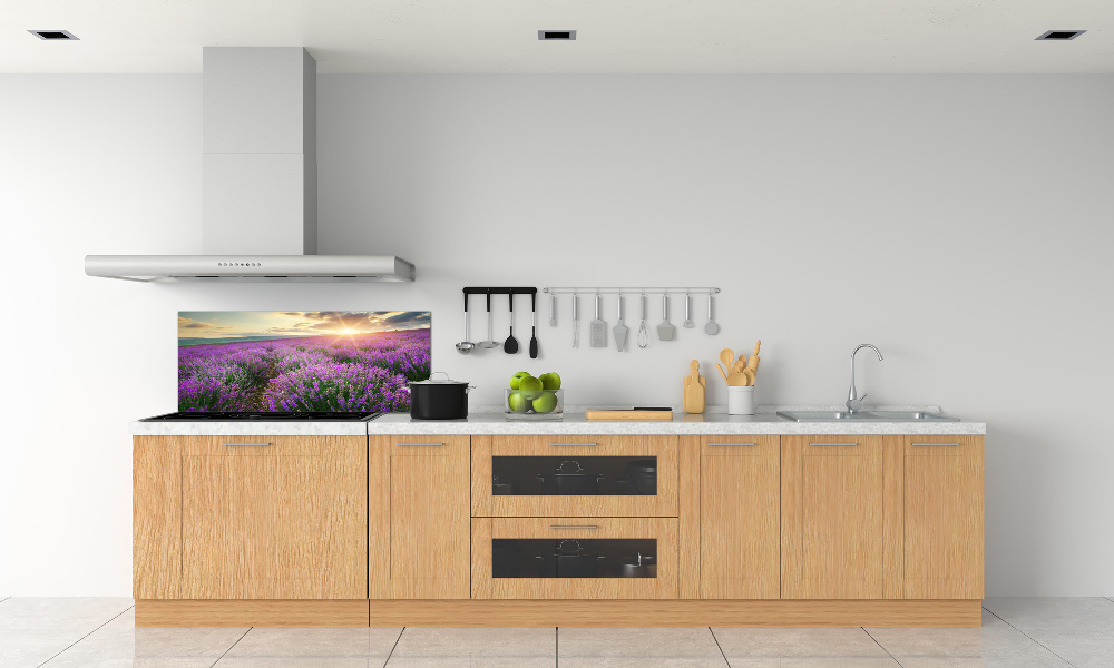 Cooker splashback Lavender field