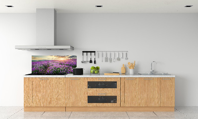 Cooker splashback Lavender field