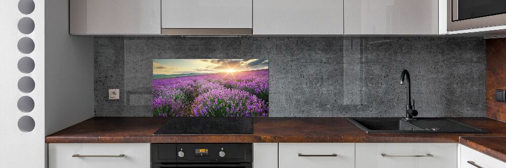 Cooker splashback Lavender field