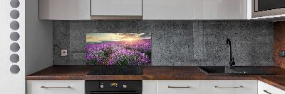 Cooker splashback Lavender field