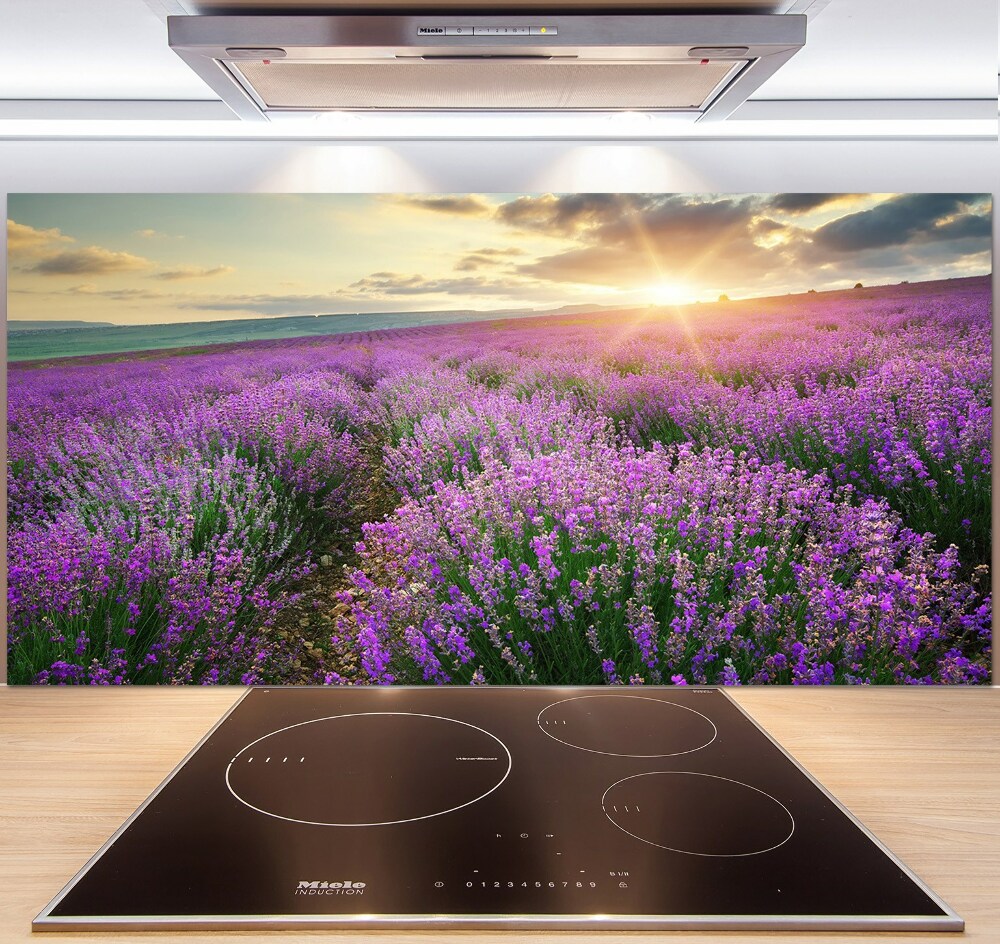 Cooker splashback Lavender field