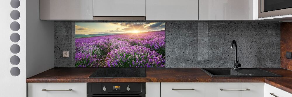 Cooker splashback Lavender field